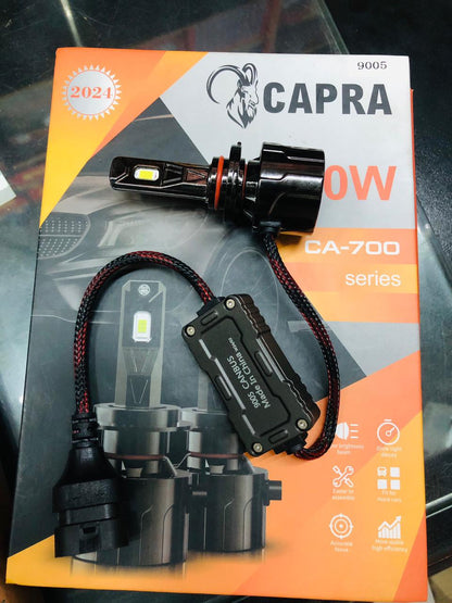 CARA LED Lights.